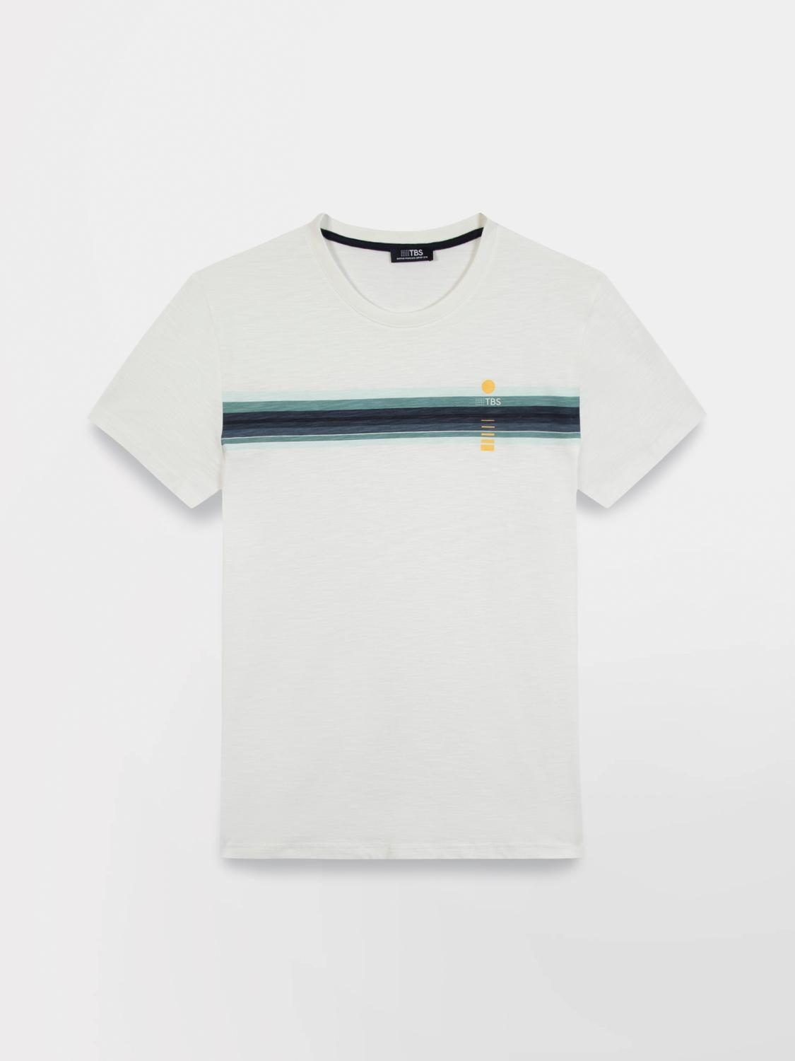 Men's knit T-shirt Arctique RORRYTEE