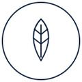 Viscose & Ecovero